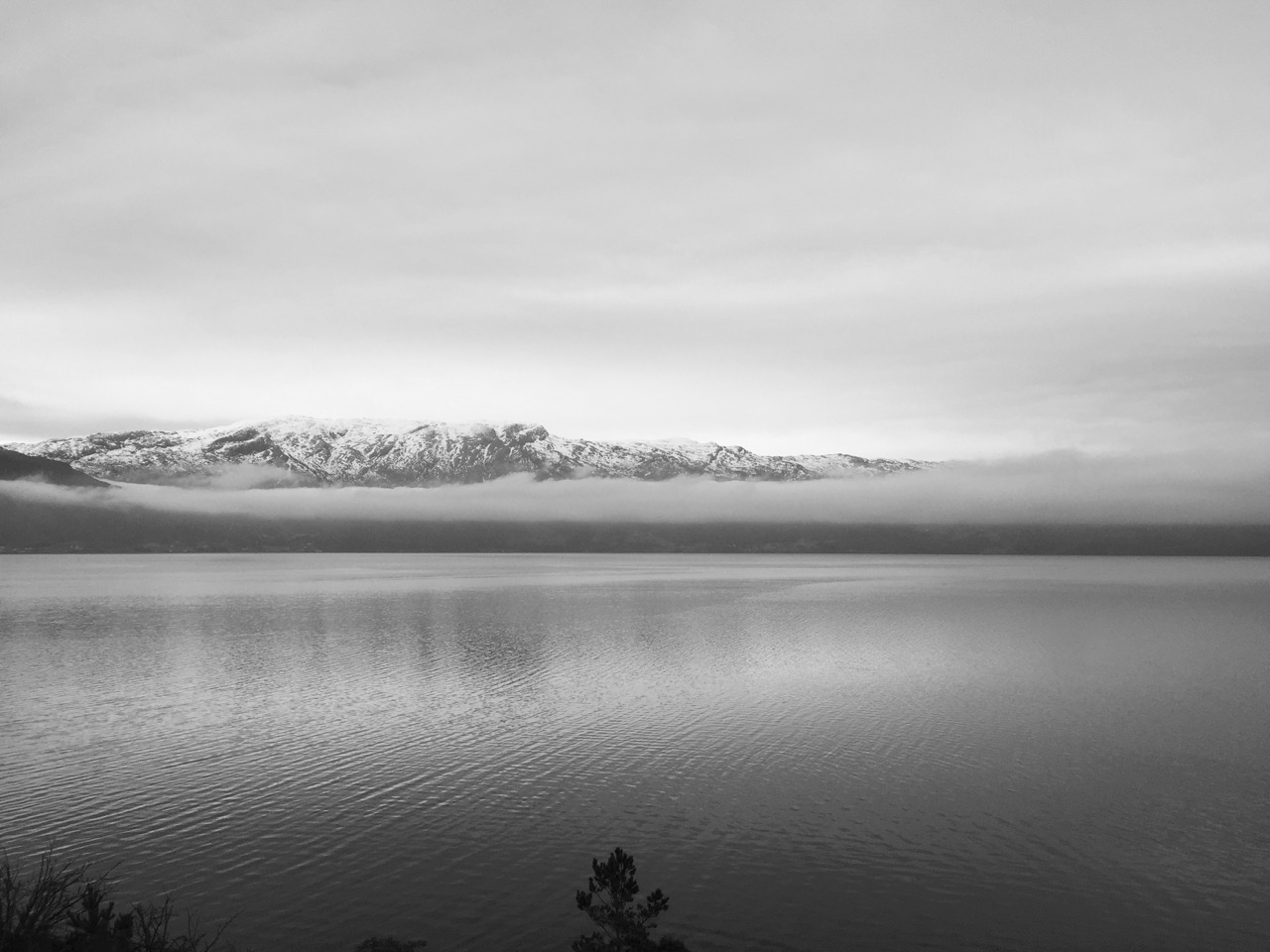 IMG_6867.jpg