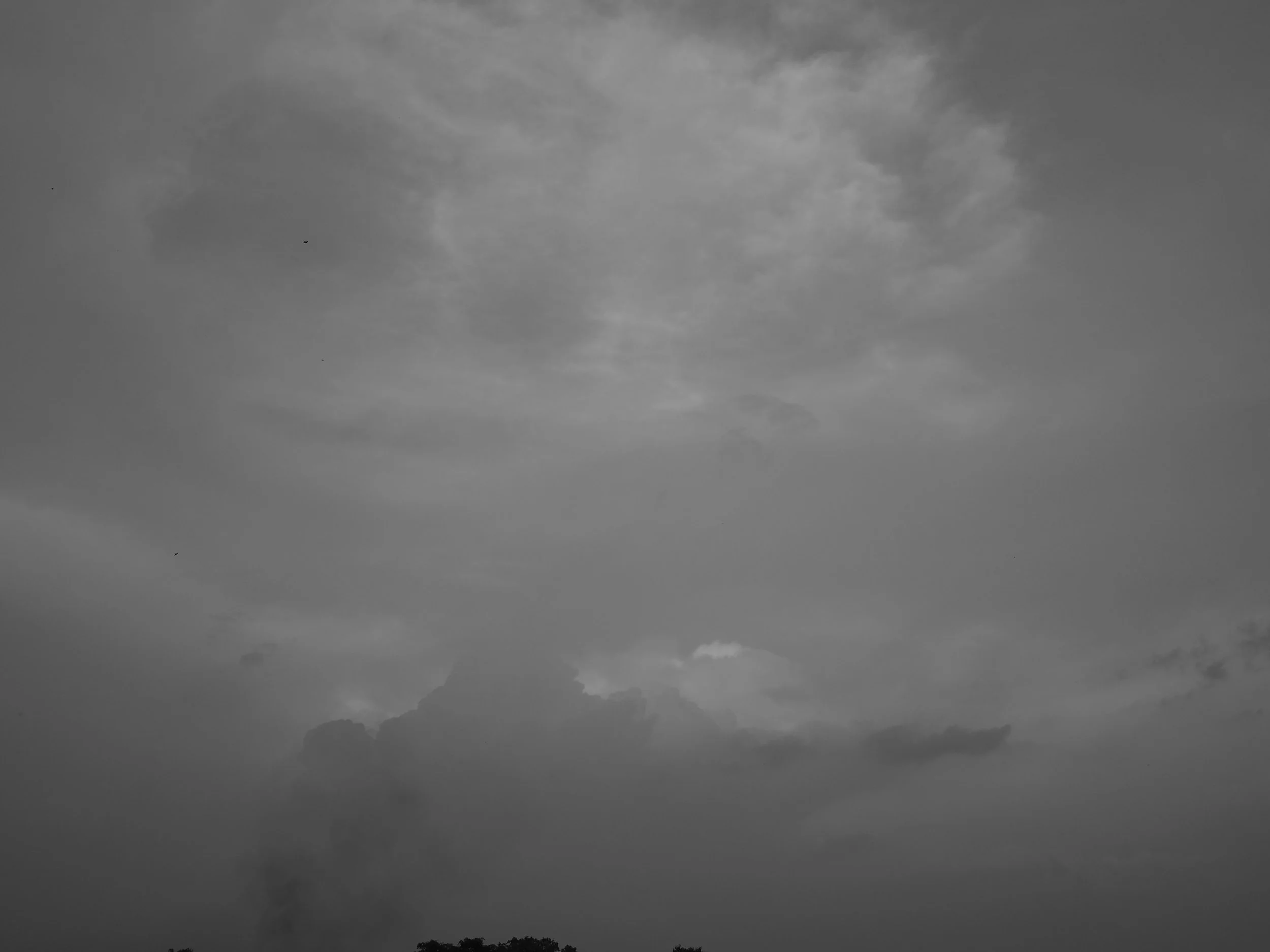 P5090066.JPG