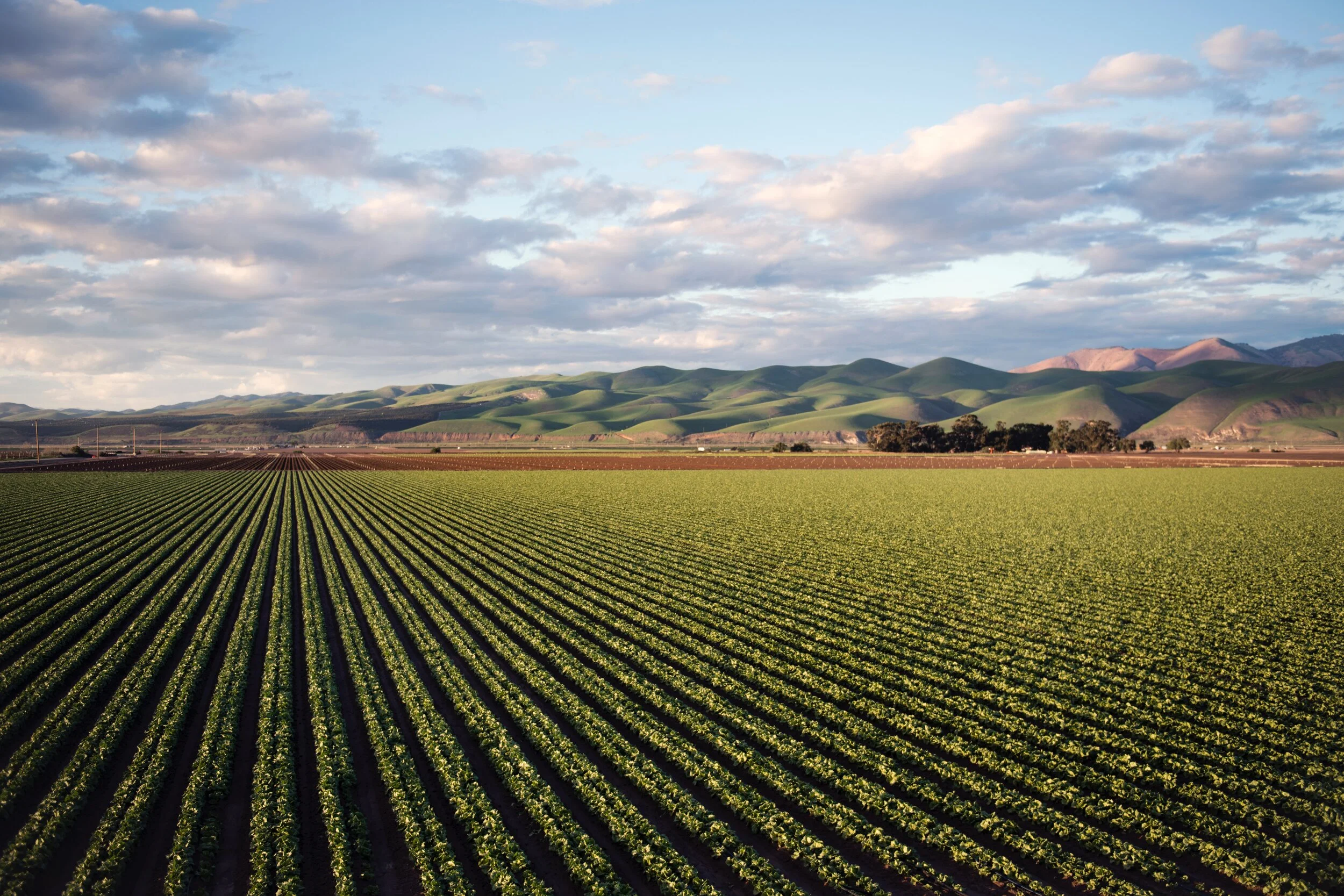 photo-of-green-field-near-mountains-974314.jpg