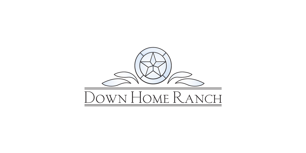 DHR-logo-color.gif