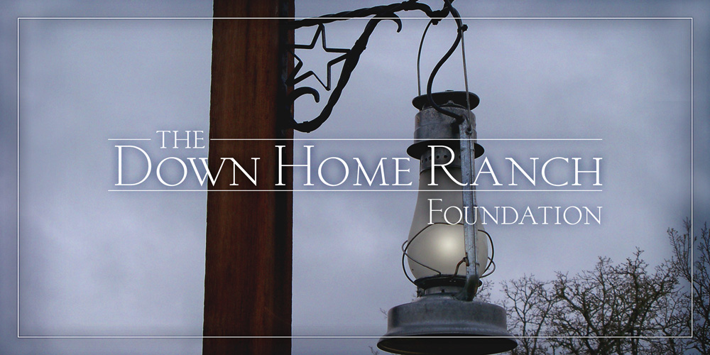 DHRF-logo-lamp.jpg
