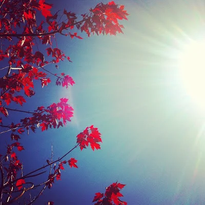 We Need to Clasp A Hand That Is Warm