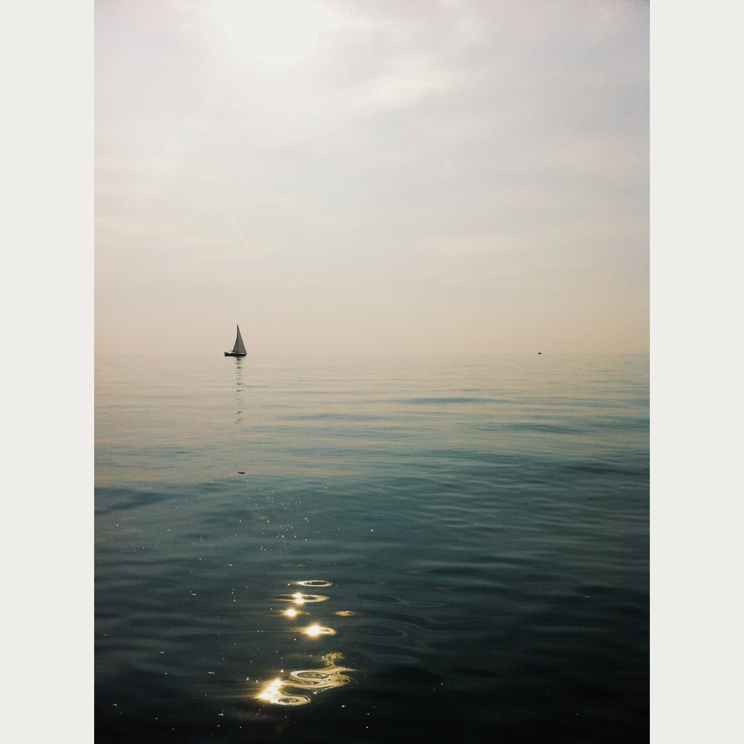 Paddle, Flounder, Swim