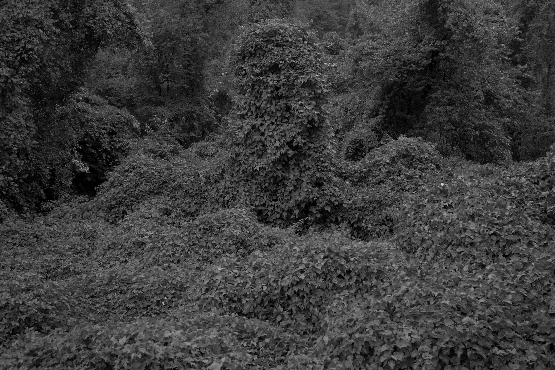 DSCF1261.jpg