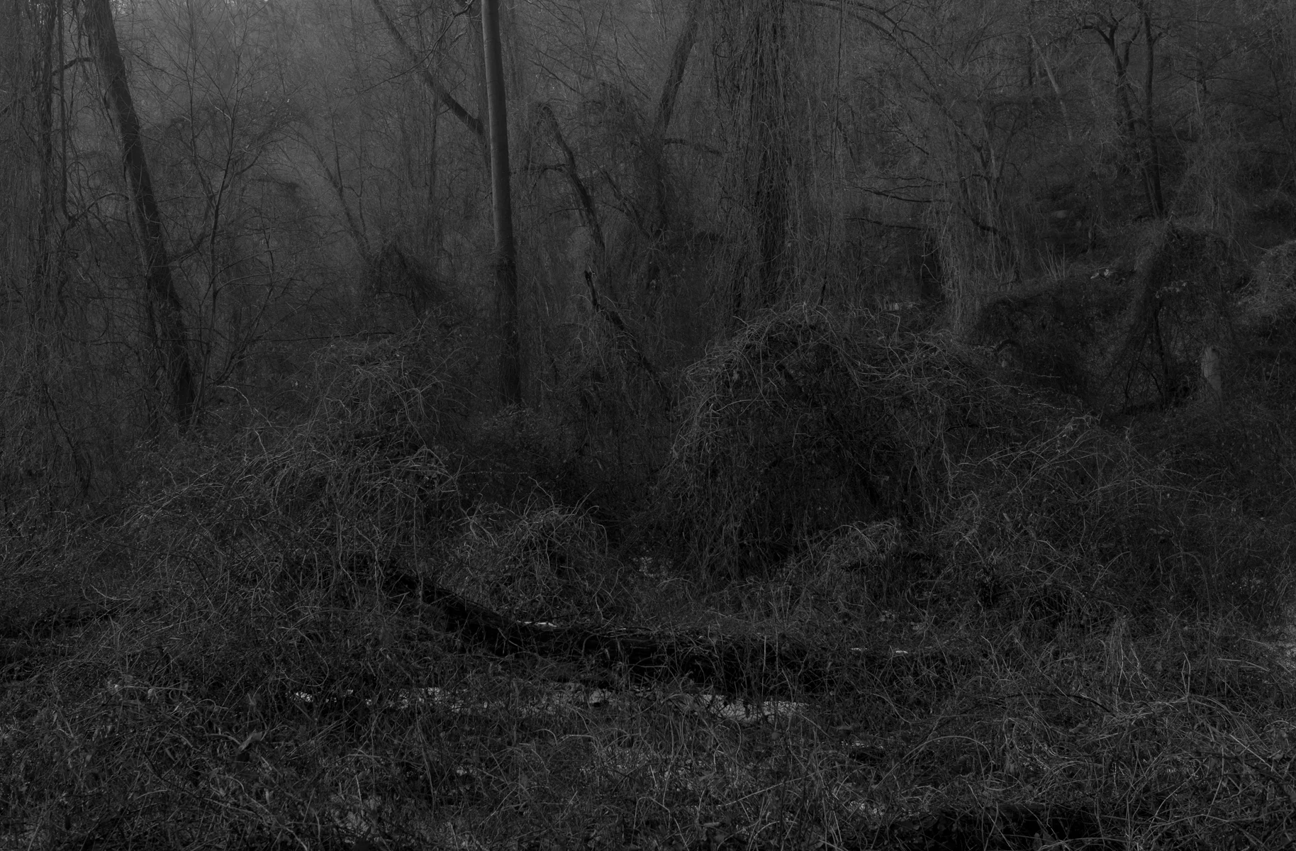 DSCF1474.jpg