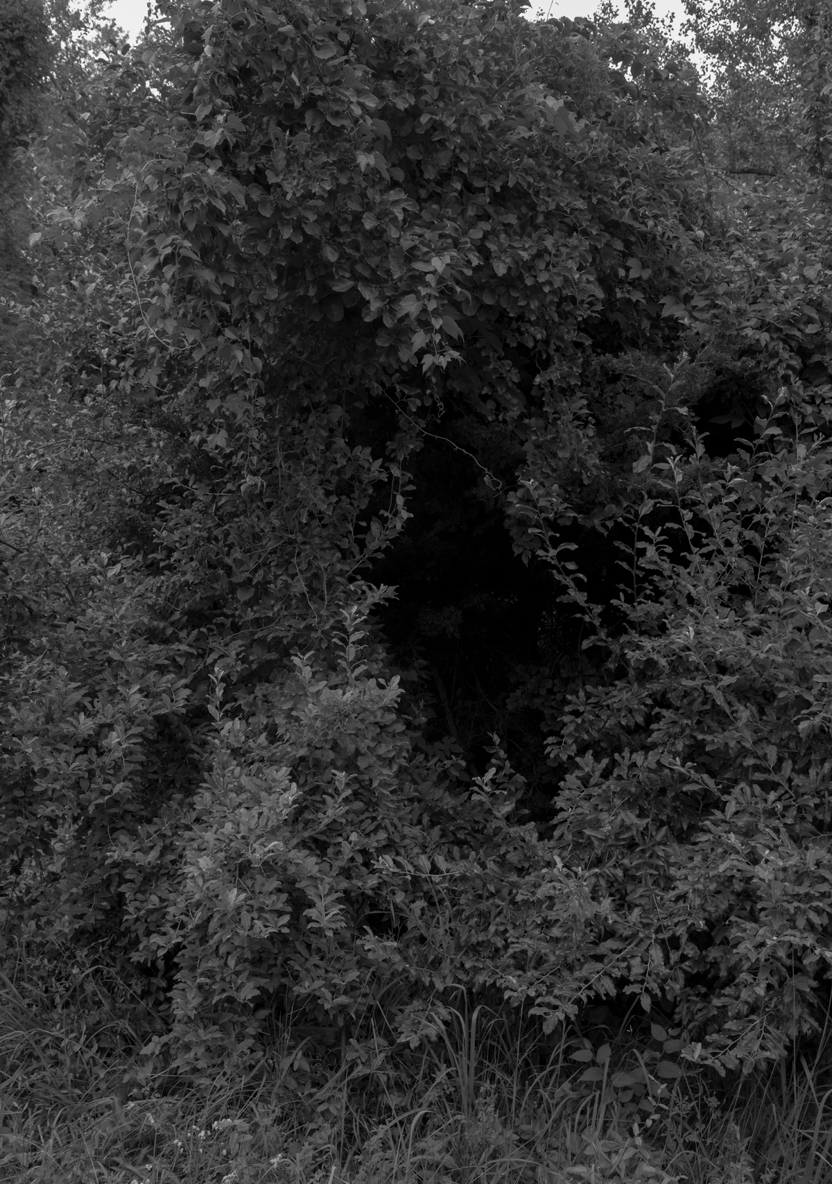DSCF7648.jpg
