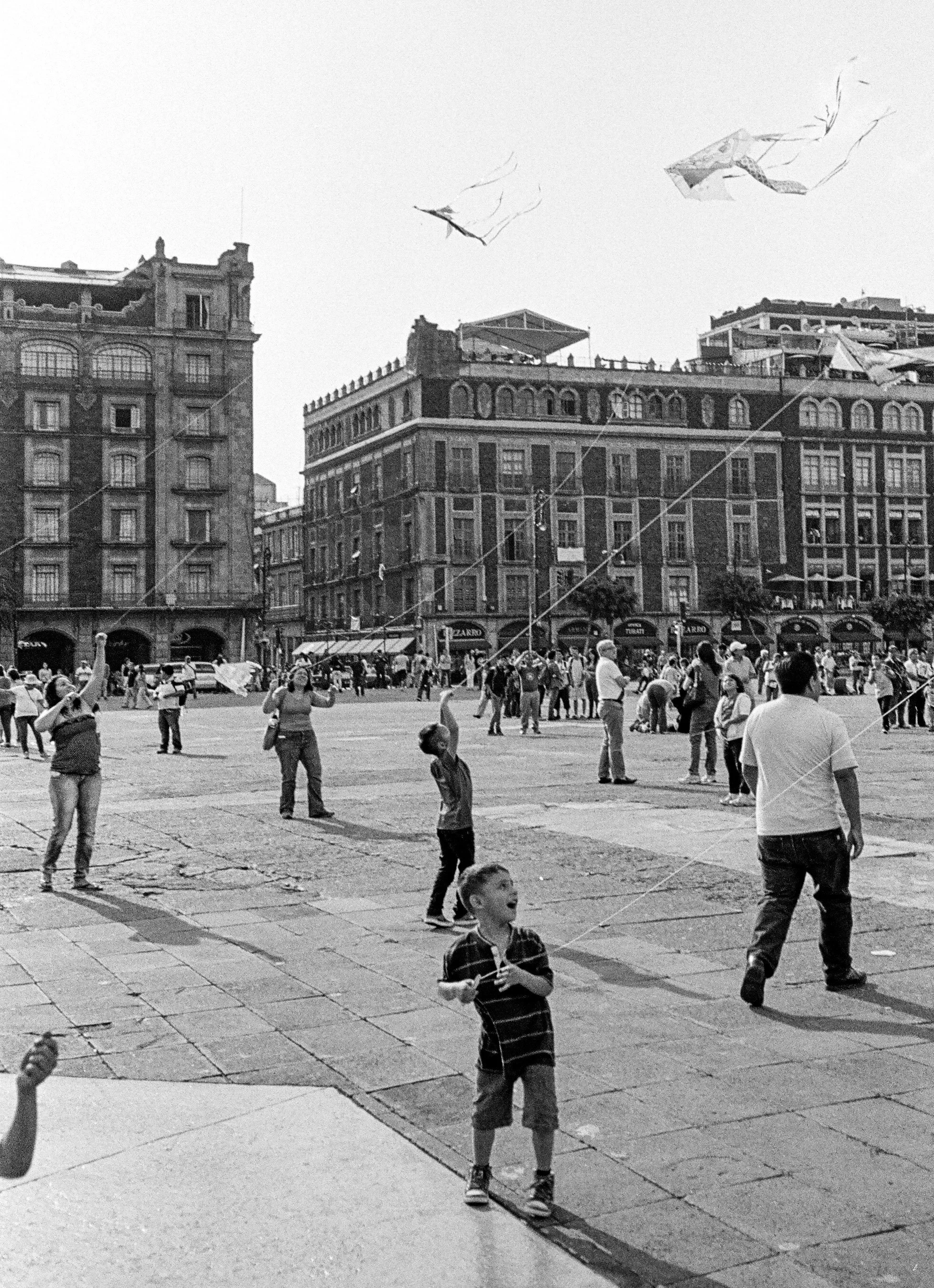 13320020.jpg
