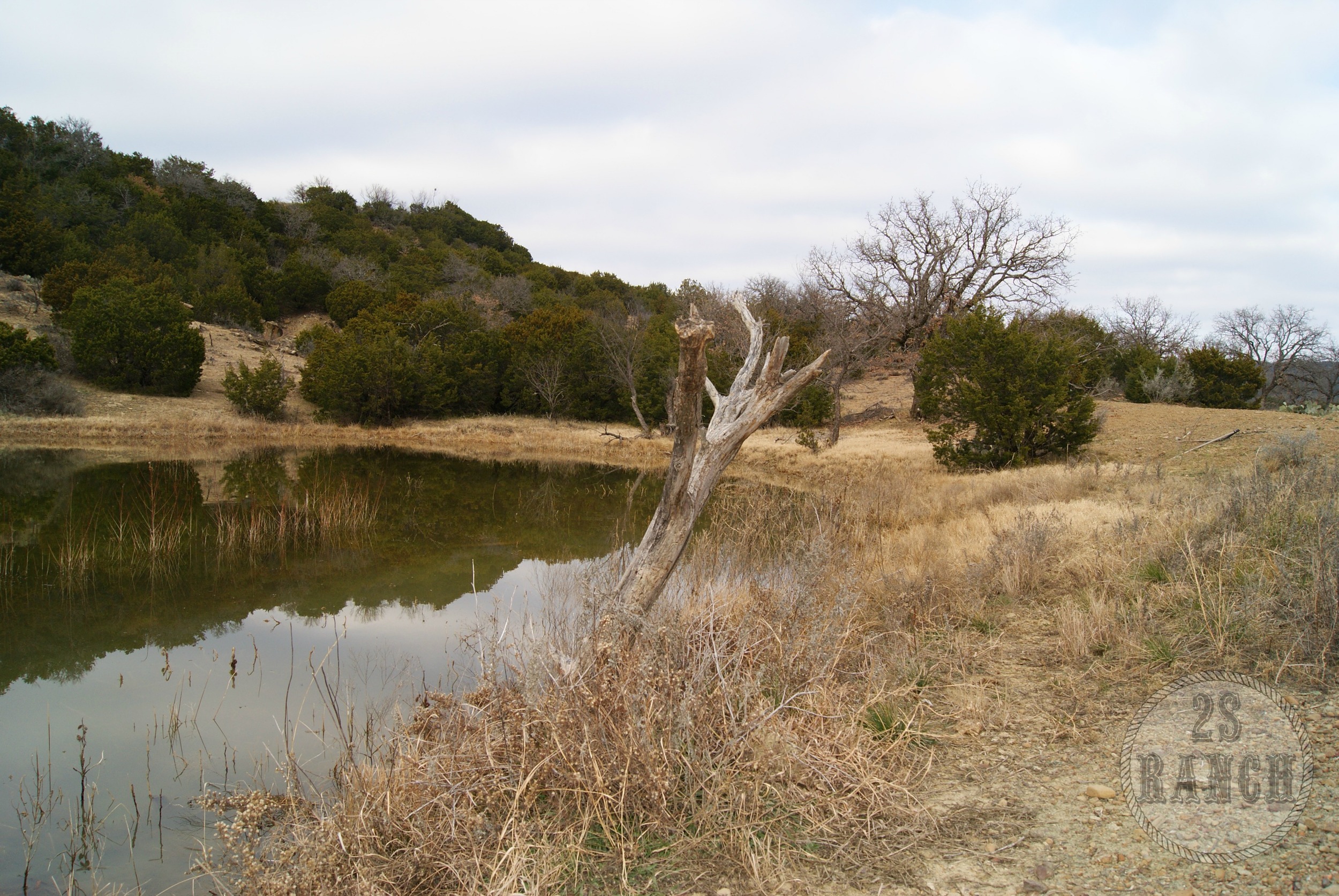 One of the tanks that was revealed to us after we began the clear out the brush.