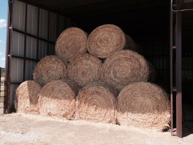 Texas Hay Bales