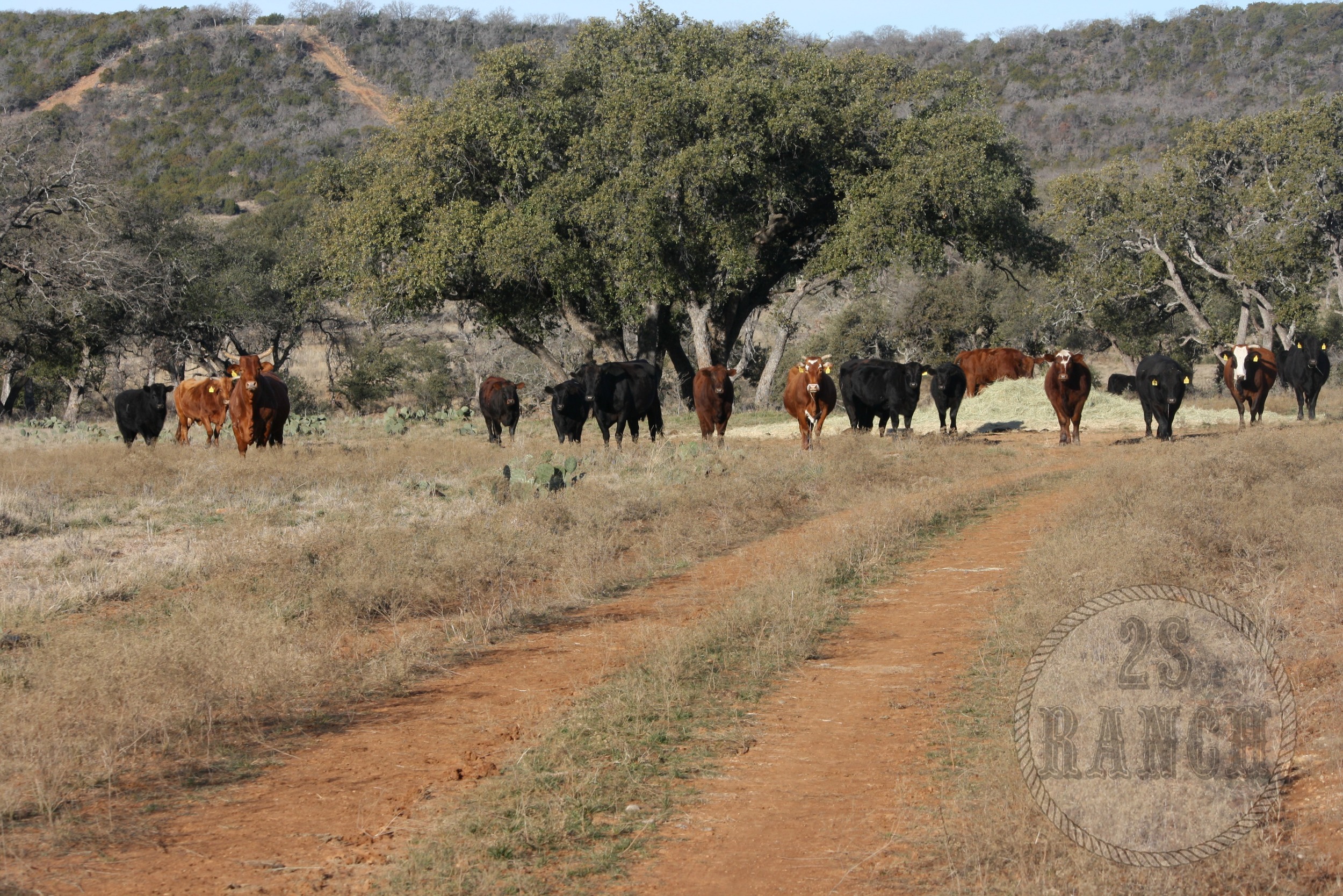A beautiful, clear morning at the 2SRanch. 