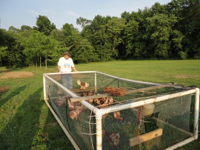 A moveable chicken pen