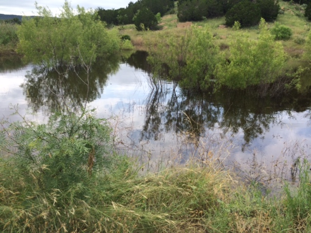 2S Ranch- May 2015