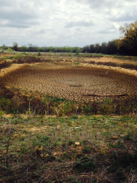 2S Ranch during the drought- late 2013
