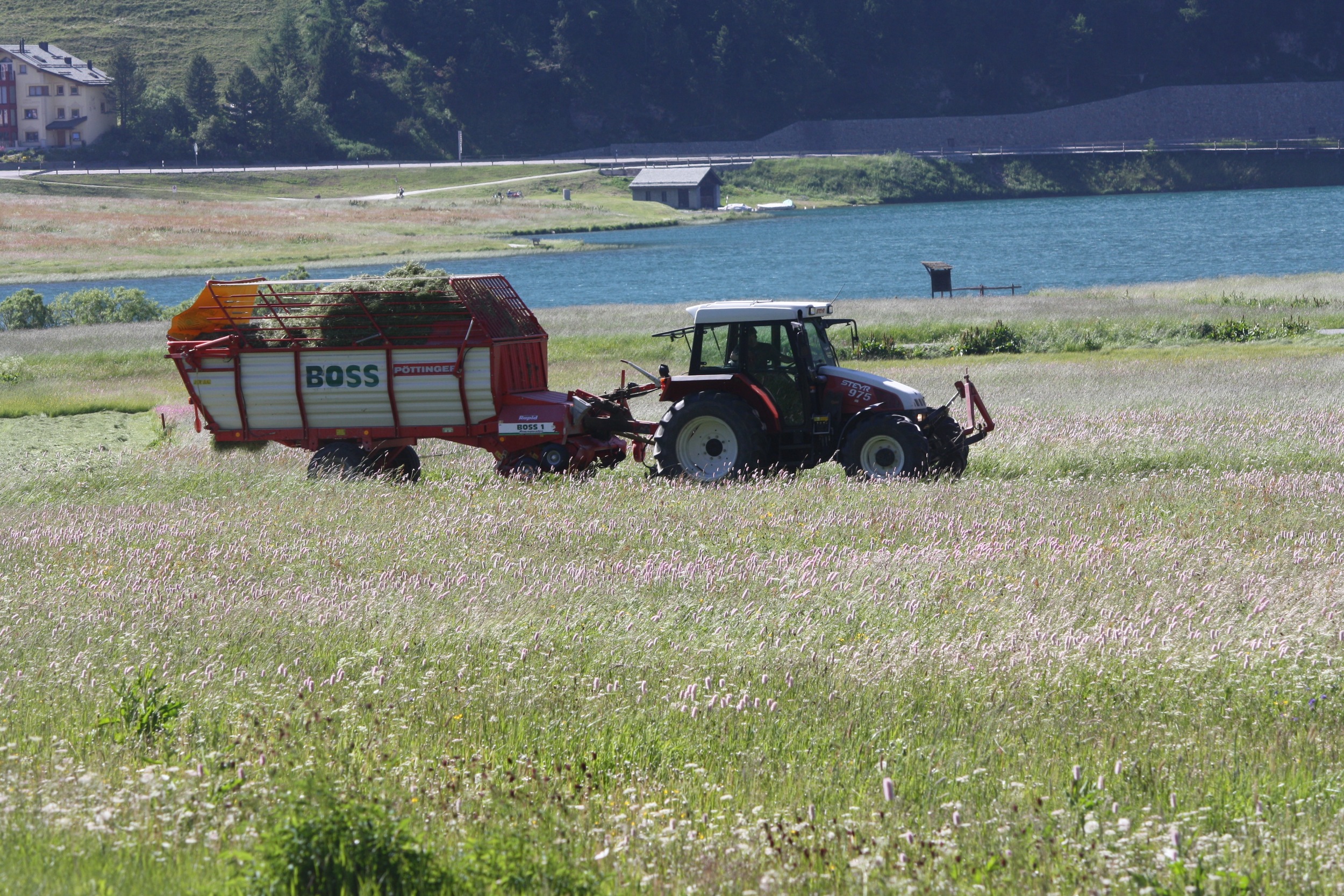 They are already cutting their grass. The grass is so lush that I'm guessing they can get a few cuts in before winter. 