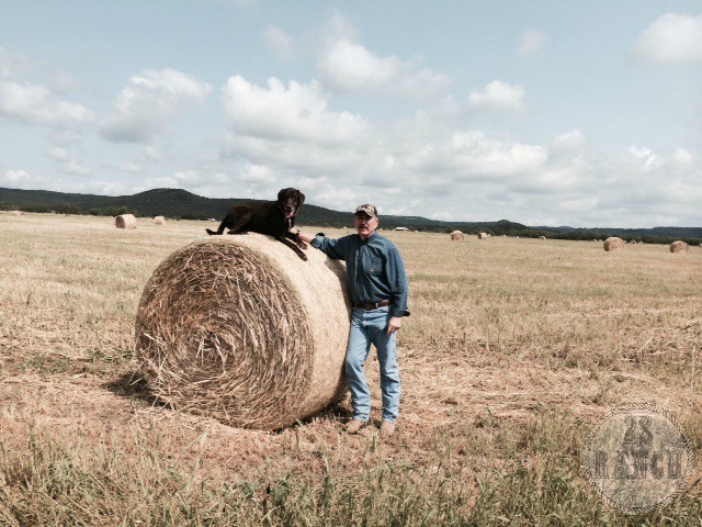 It started out as ranch management....
