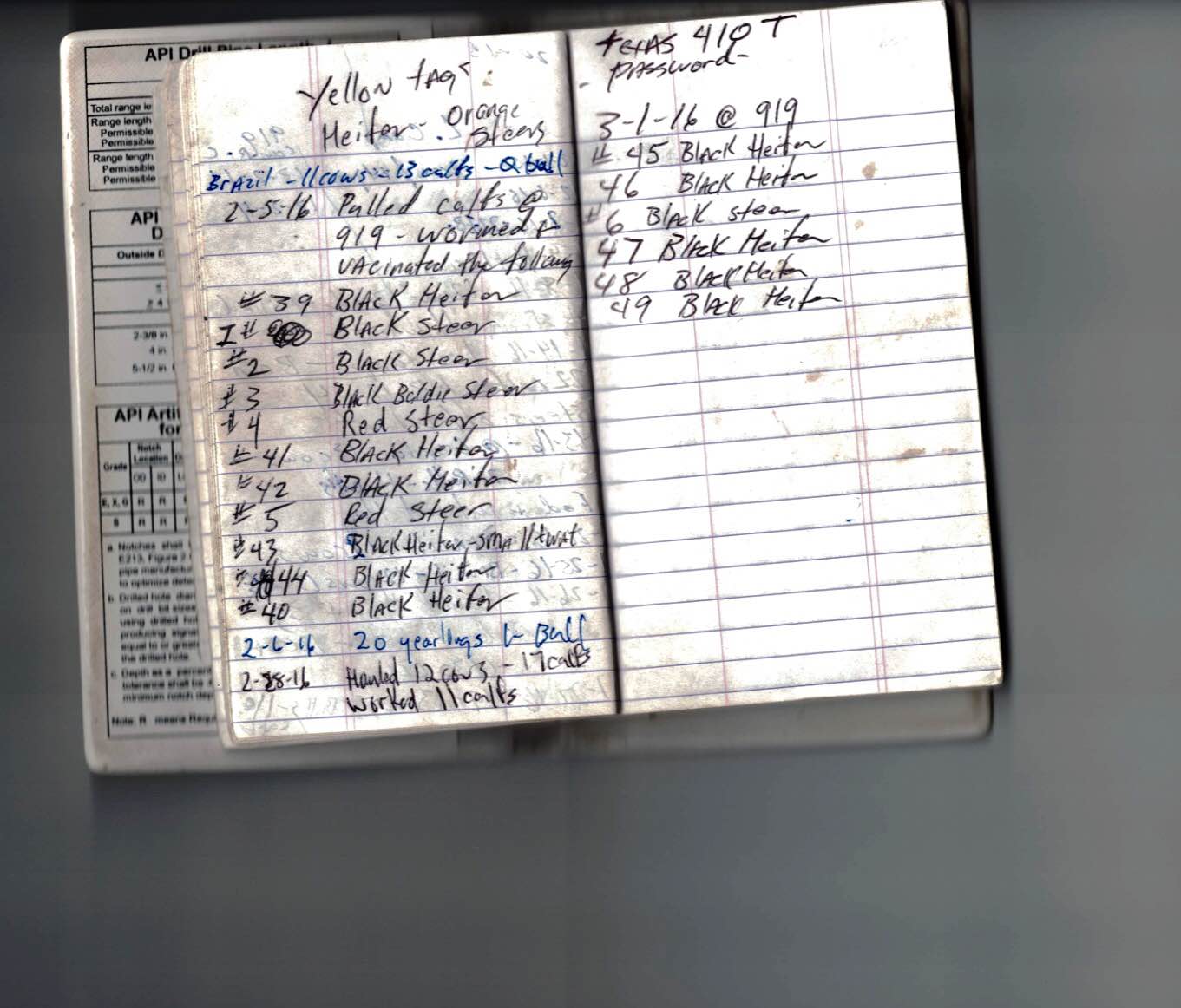 Kevin's spiral notebook