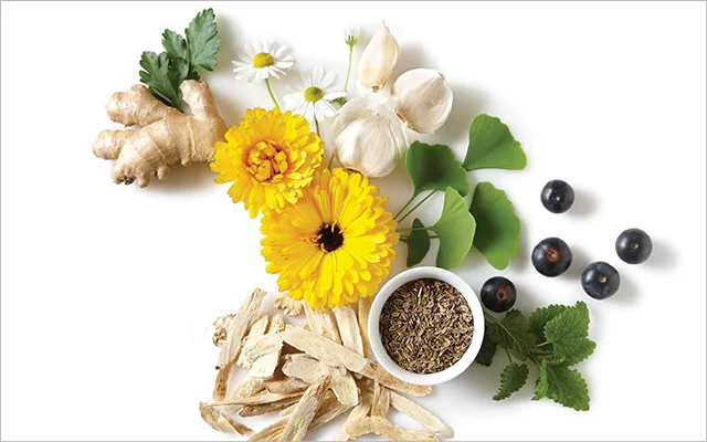 Healing-Herbs.jpg