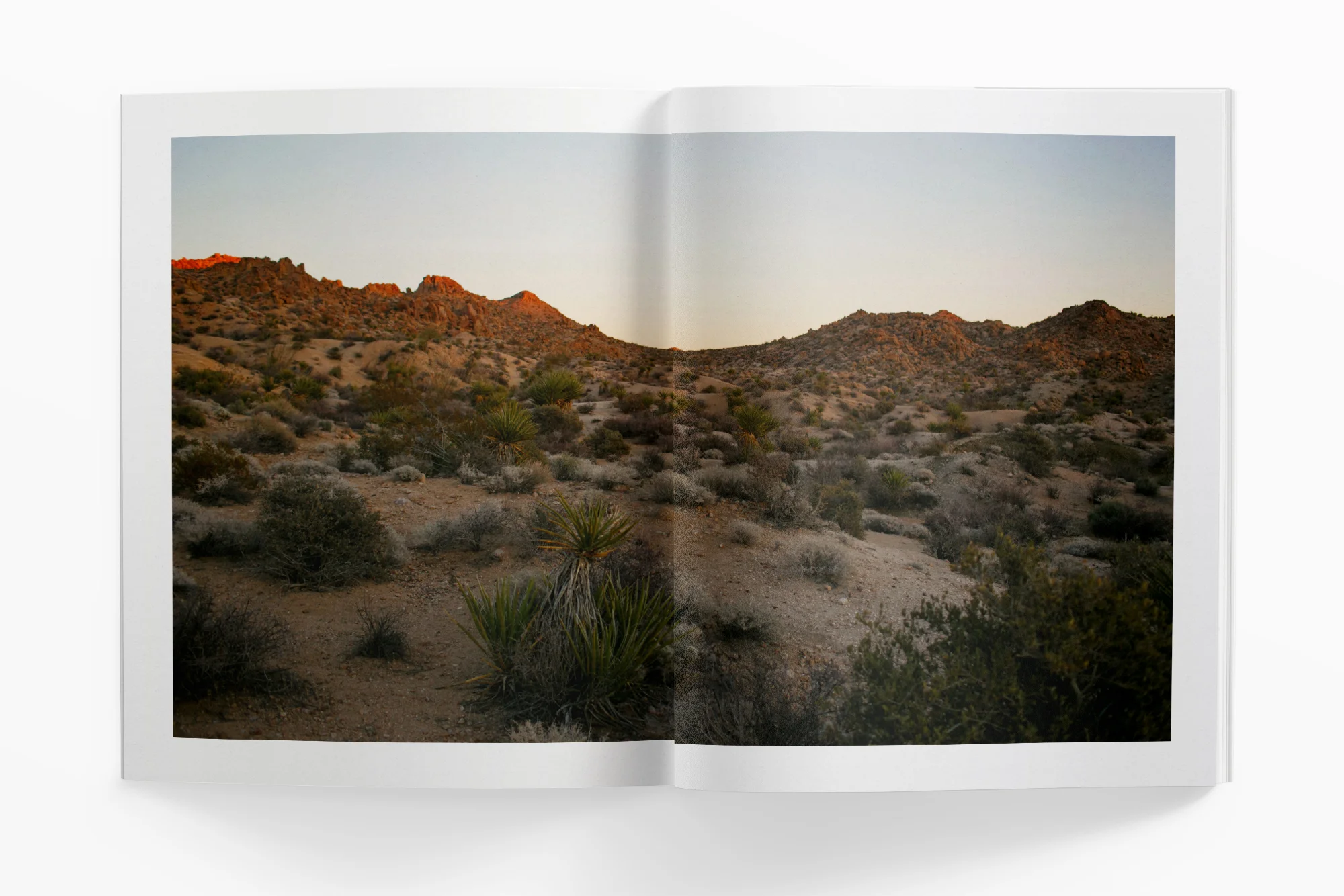 seek-magazine-4.jpg