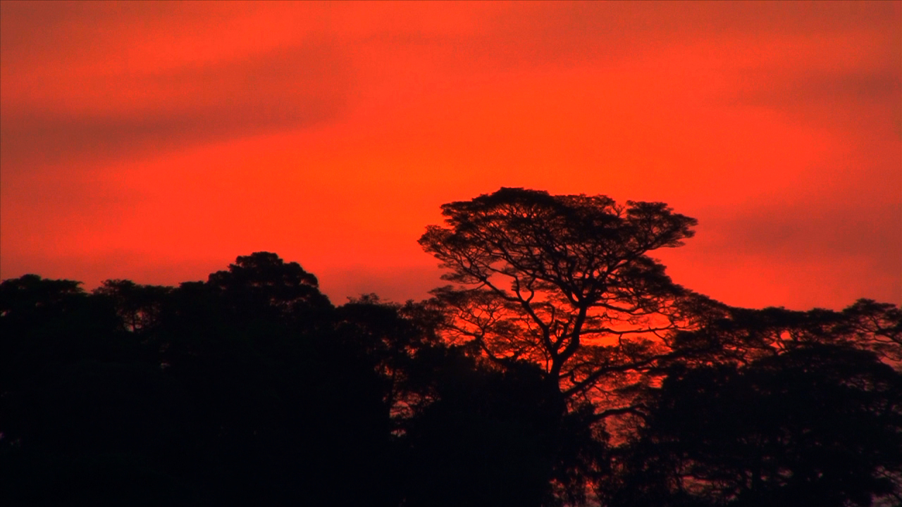 uganda sunset.jpg