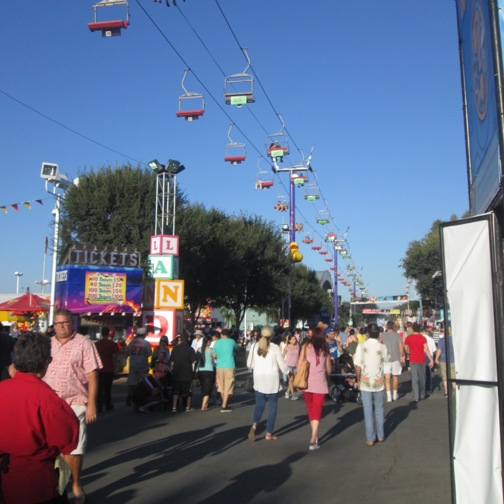 The OC fair has something for everyone – music, games, rides, animals, and of course, lots and lots of food!