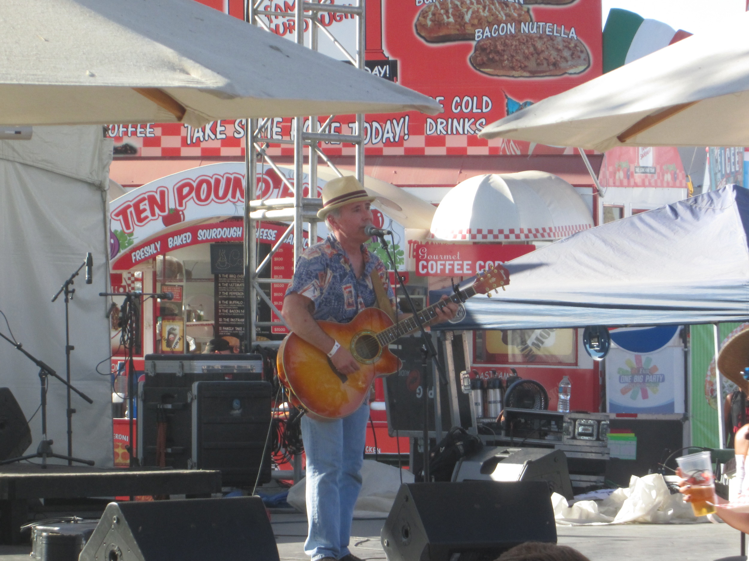 The fair featured several talented local musicians.