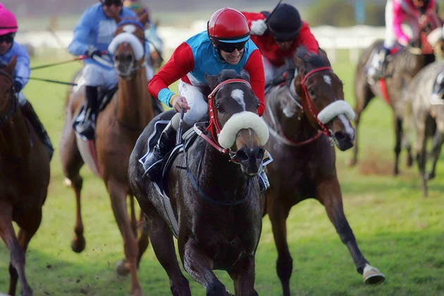 Dylan’s Promise - Betting World Oaks (Grade 2) / Gold Circle (p)
