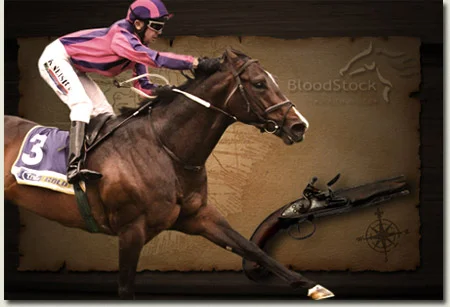 what a winter challenger for the bloodstock sa cape guineas