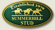 summerhill stud, south africa
