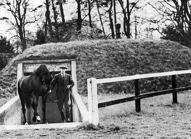 Nearco - The All Clear