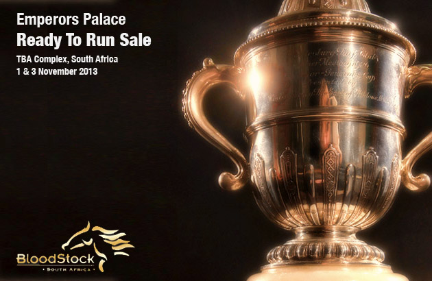 Ready To Run Sale
