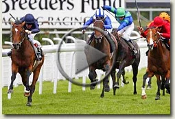 rip van winkle sussex stakes 2009 glorious goodwood video