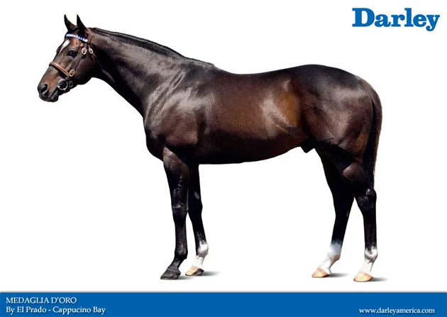 Medaglia d'Oro