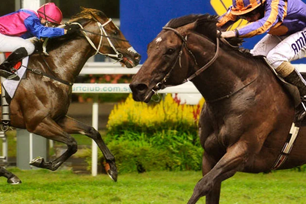 Summerhill Sires Film 2013 - 2014 Premiere