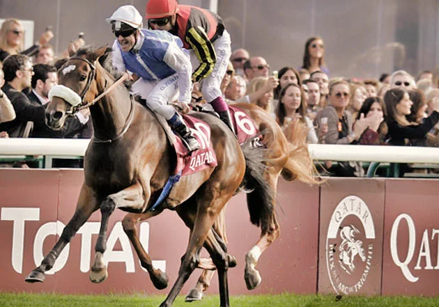 Solemia - Prix de l'Arc de Triomphe