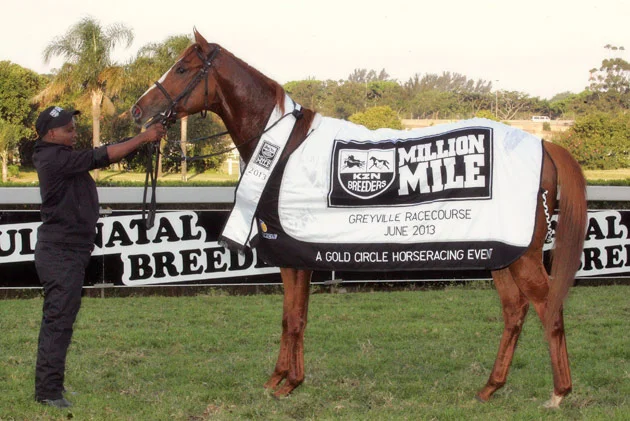 Gitiano - KwaZulu-Natal Breeders Million Mile