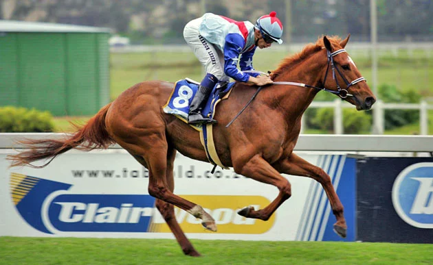 No Worries Horse