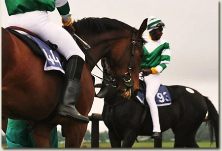 ready to run gallops at summerhill