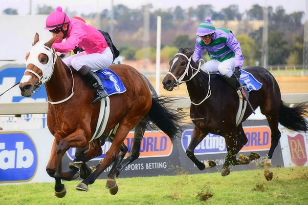 Negev - Syringa Handicap (Listed) / JC Photos (p)