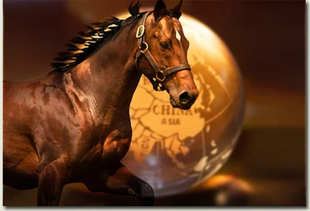 Thoroughbred