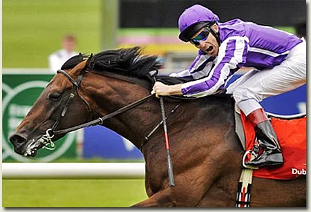 johnny murtagh and fame and glory