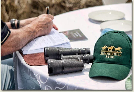 Ready To Run Gallops at Summerhill Stud, South Africa
