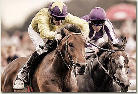Sea The Stars - Juddmonte International Stakes