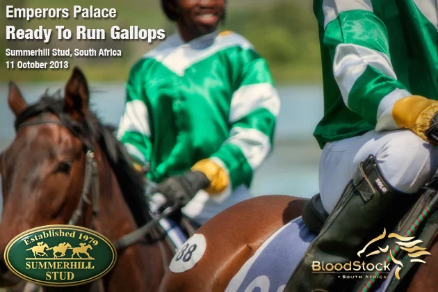Emperors Palace Ready To Run Gallops at Summerhill Stud