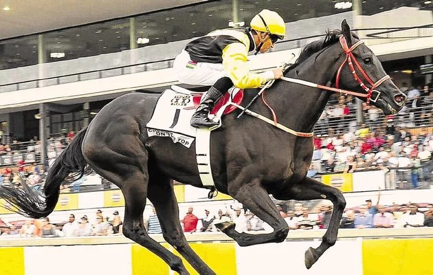 Cherry On The Top Horse