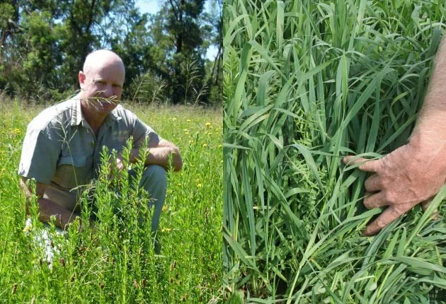 Haydn Bam - Bio-farming