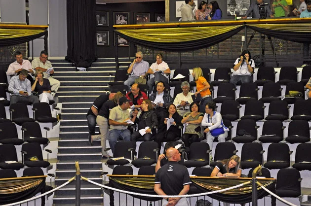 TBA Sales Ring - Emperors Palace Ready To Run Sale