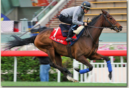 Cirrus des Aigles