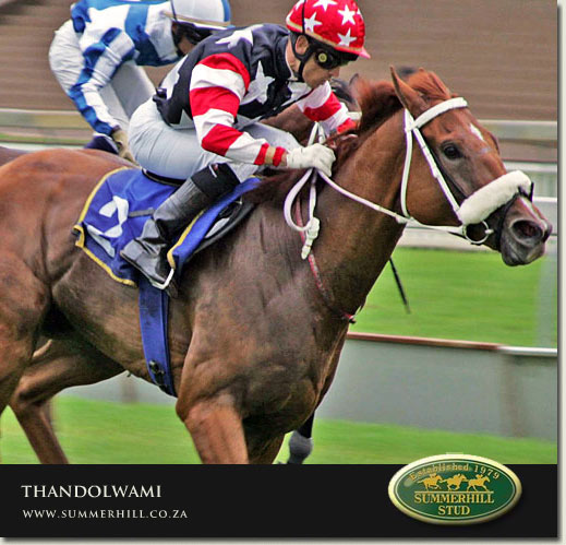 thandolwami