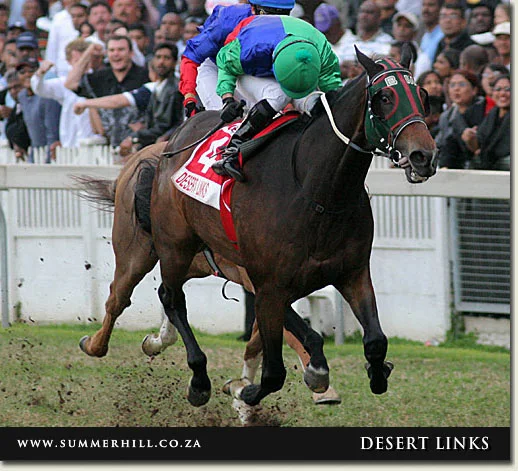 desert links horse