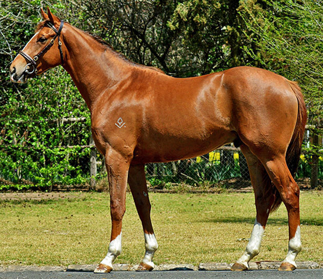 Lot 204: Eight Stories (AUS) (Dylan Thomas x Miss Ichi)